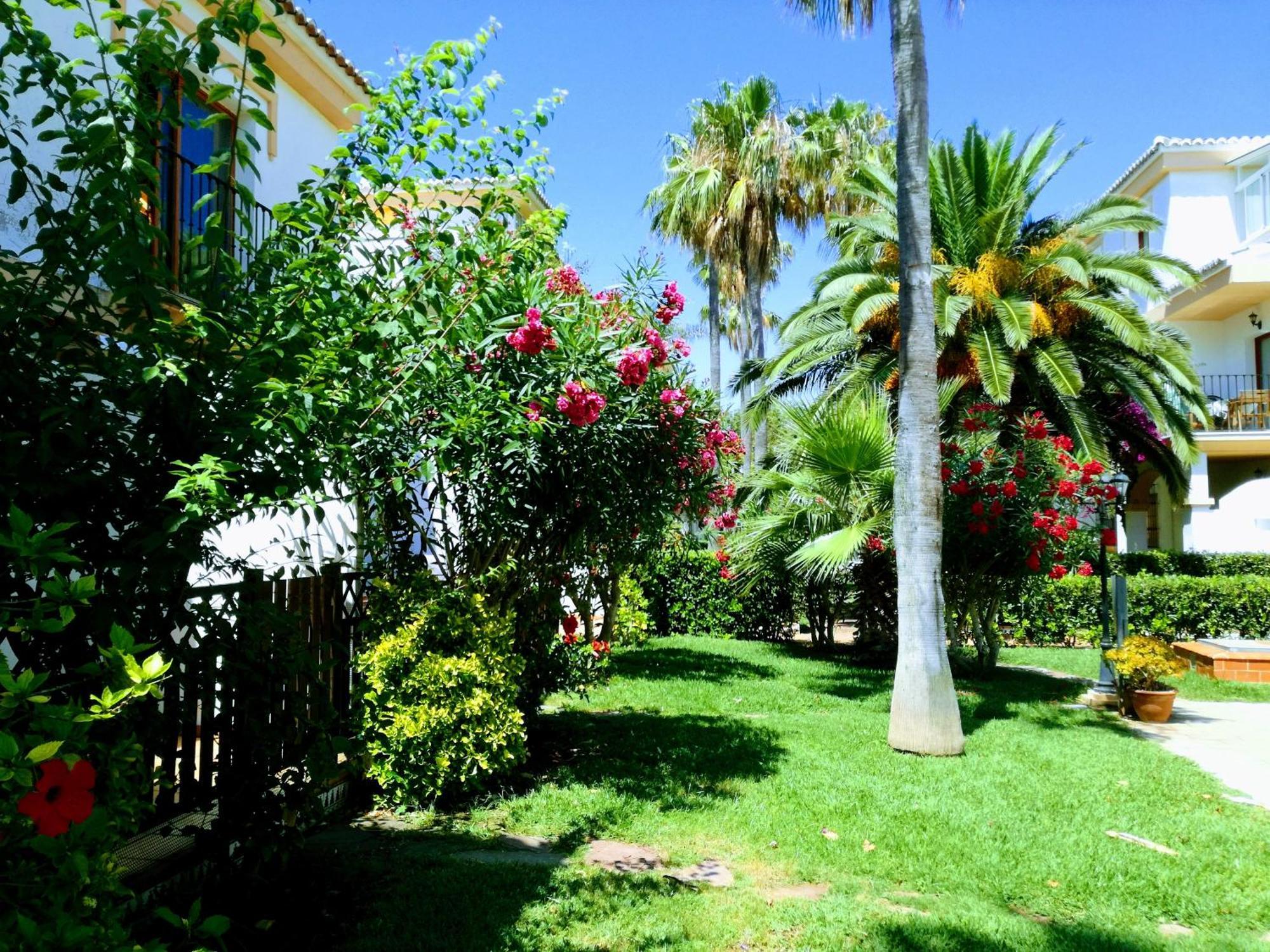 דירות דניה Planta Baja Con Porche Y Piscina, Cerca Del Mar מראה חיצוני תמונה